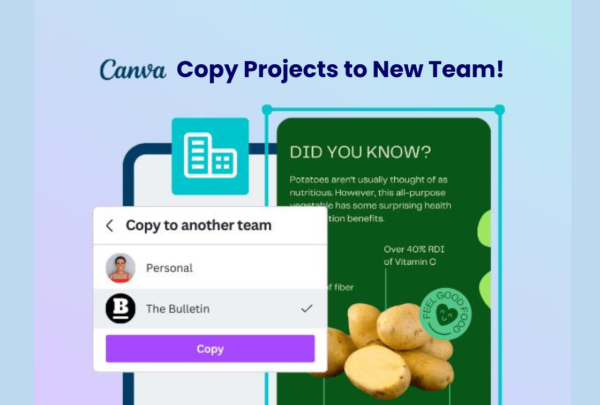 Canva Premium teams Designs