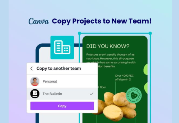 Canva Premium teams Designs