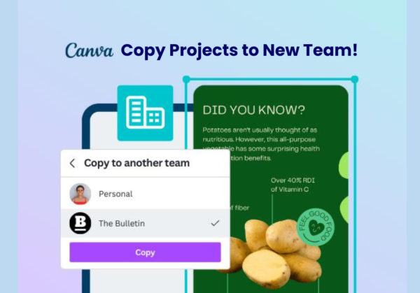 Canva Premium teams Designs