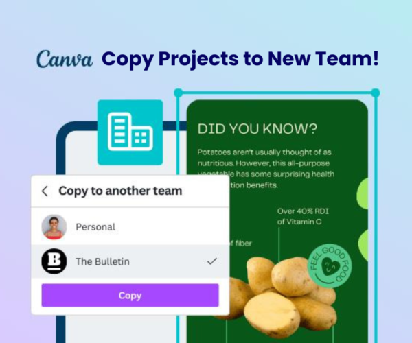 Canva Premium teams Designs